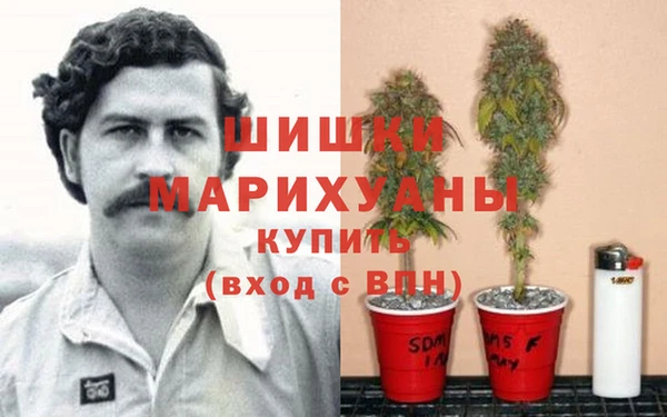 марки lsd Бородино