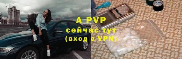марки lsd Бородино