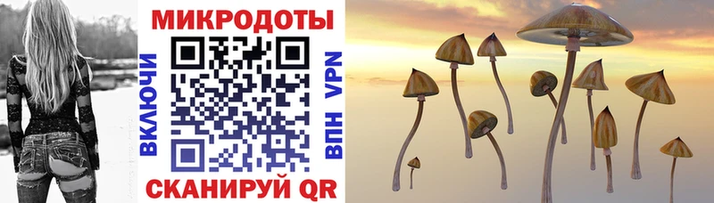 Псилоцибиновые грибы Magic Shrooms цена Фёдоровский